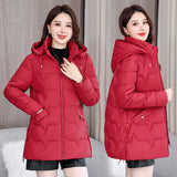 Down Cotton-Padded Jacket Female Long Warm Cotton-Padded Jacket 2024 New Korean Version Fashion Pure Color