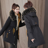 Winter Down Cotton Jacket Women's Long Coat Ins Cotton-Padded Jacket Big Wool Collar Collect Waist Tooling Plus Velvet Pie To Overcome